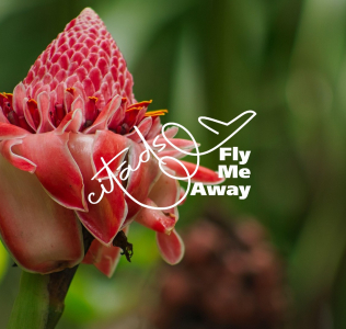 Ceļojums uz ekvatoriālo tropu paradīzi - Sao Tome un Prinsipi