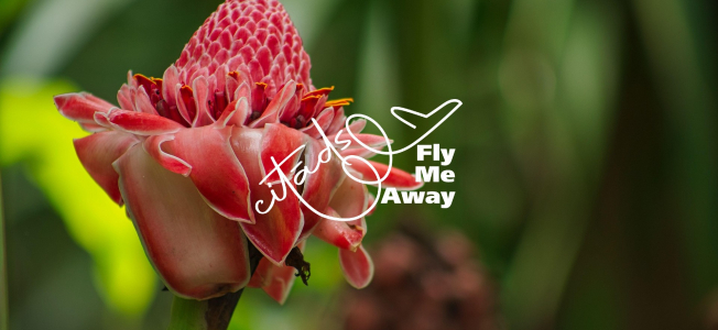 Ceļojums uz ekvatoriālo tropu paradīzi - Sao Tome un Prinsipi